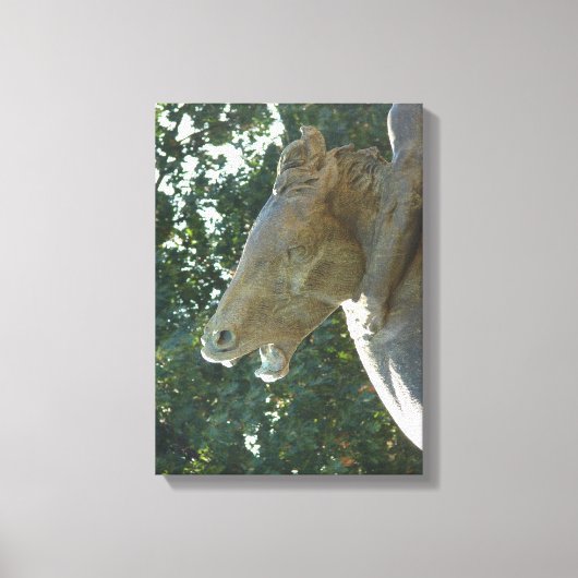 Plaza Horse Canvas Afdruk (Voorkant)