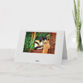 Pleasant Cat Kaart (Achterkant)