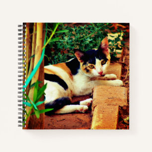 Pleasant Cat Notitieboek