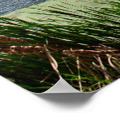 Pleasant Creek Poster (Hoek)