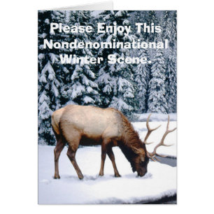 Please Enjoy This Nondenominational Winter Scene.