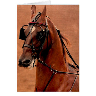 Pleasure Harness Saddlebred Art numérique