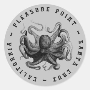 Pleasure Point, Santa Cruz Octopus Ronde Sticker