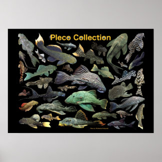 Plecoの の ス タNr.01 Poster
