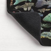 Pleco collection muismat (Hoek)