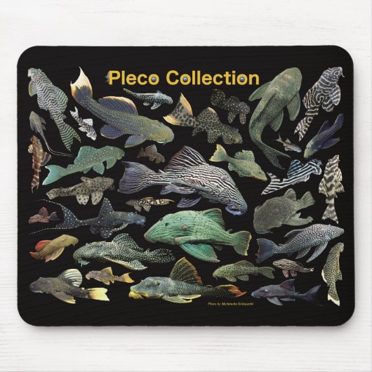 Pleco collection muismat (Voorkant)