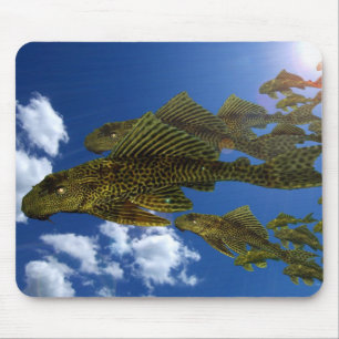 Pleco-migratie #2 muismat