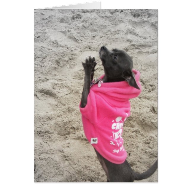 PLeeaaasssee! (Voorkant)