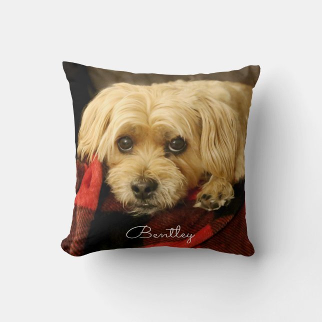 Plein plaid vert du coussin | de photo (Recto)