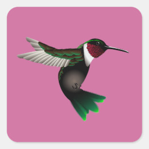 Plein voor vogelsticker vierkante sticker