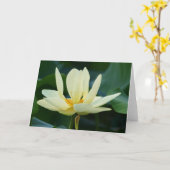 Pleine carte de Lotus (Fleur jaune)