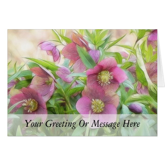 Pleine floraison - Hellebores ! (Devant horizontal)