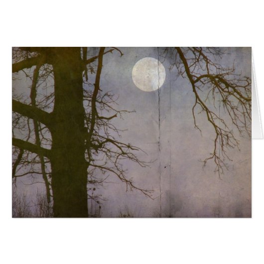 Pleine lune (Devant horizontal)