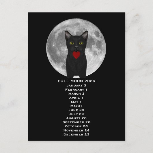 Pleine Lune Chat 2026 Carte Postale (Devant)