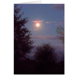 pleine lune de loup se levant au crépuscule - sur 