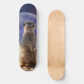 Pleine lune Et Meerkat, Skateboard (Recto)