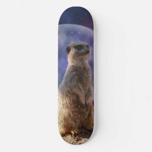 Pleine lune Et Meerkat, Skateboard (Recto)
