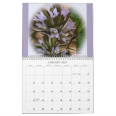 Pleins feux sur le calendrier des Fleurs sauvages (Jan 2027)
