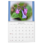Pleins feux sur le calendrier des Fleurs sauvages (Mar 2027)