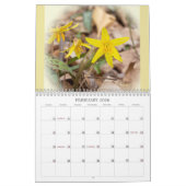 Pleins feux sur le calendrier des Fleurs sauvages (Feb 2026)