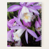 Pleione Windows sill Orchids Floral Planner (Achterkant)