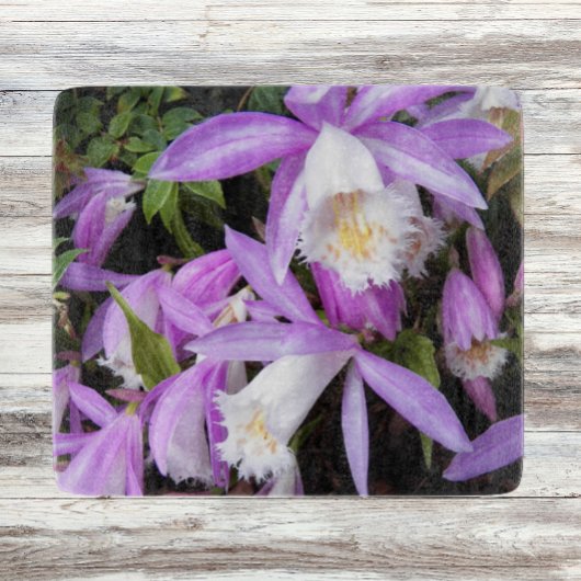 Pleione Windows sill Orchids Floral Snijplank