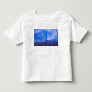 Pleneau IJskerkhof, Antarctica: Blauw Kinder Shirts
