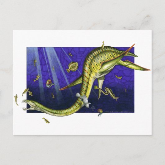 Plesiosaur Briefkaart (Voorkant)