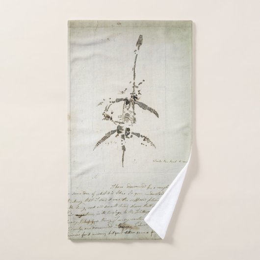 Plesiosaurus dolichodeirus (Serviette à main)