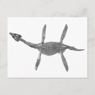 Plesiosaurus Skeleton Antiek afdrukken Briefkaart