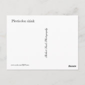 Plestiodon skink briefkaart (Achterkant)