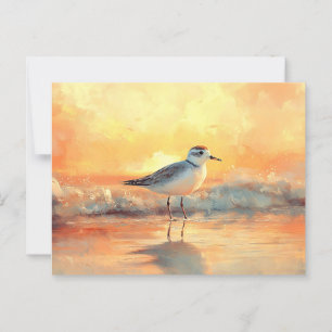 Plevier staand in oceaangolven tijdens zonsonderga briefkaart