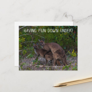 Plezier hebben onder Kangaroo Australia Briefkaart