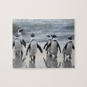 Plezier Pinguïn Vogel Wildlife Natuur Kunst Legpuzzel
