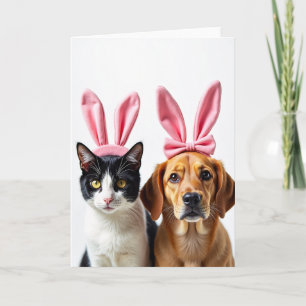 Plezierige kaart met kat- en hondvrienden