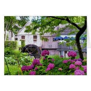 Plimoth Grist Mill bij Jenney Pond in Summer