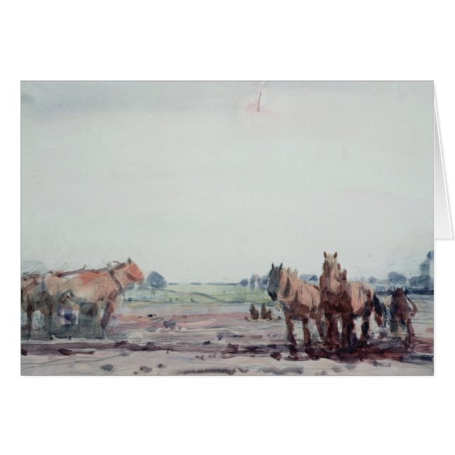 Ploedpaarden (Voorkant Horizontaal)