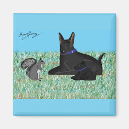 Plotselinge discussie. magneet