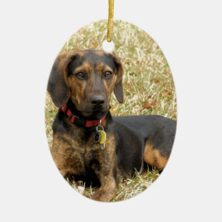 Plott Hound Keramisch Ornament