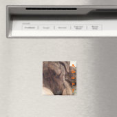 Plott Hound Magnet Magneet (Insitu (Vaatwasser))