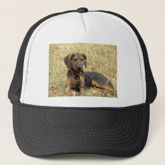 Plott Hound Trucker Pet