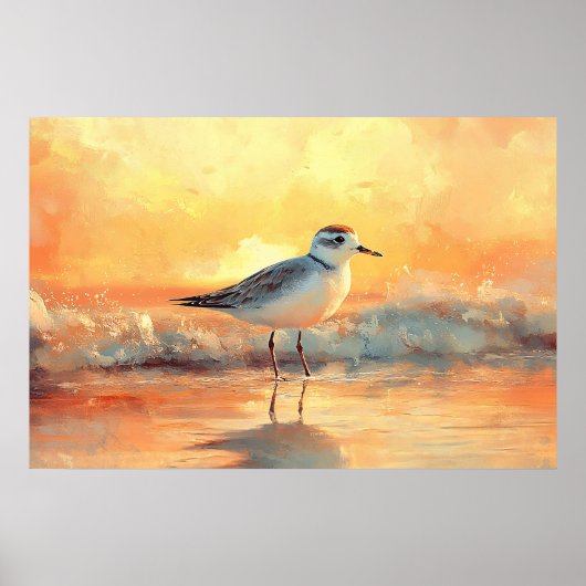 Plover Staand in Oceaangolven Tijdens Zonsondergan Poster (Voorkant)