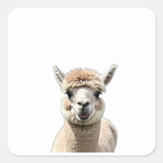 Pluche vriendjes vierkante sticker (Voorkant)