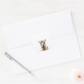 Pluche vriendjes vierkante sticker (Envelop)
