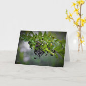 Pluie, carte (Fleur jaune)