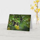 Pluie, carte (Fleur jaune)