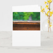 Pluie, carte (Fleur jaune)