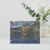 Pluie dans la carte postale Glen (Debout devant)