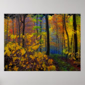 Pluie d'automne, affiche (Devant)