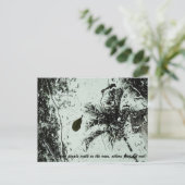 Pluie en Floride Carte postale (Debout devant)